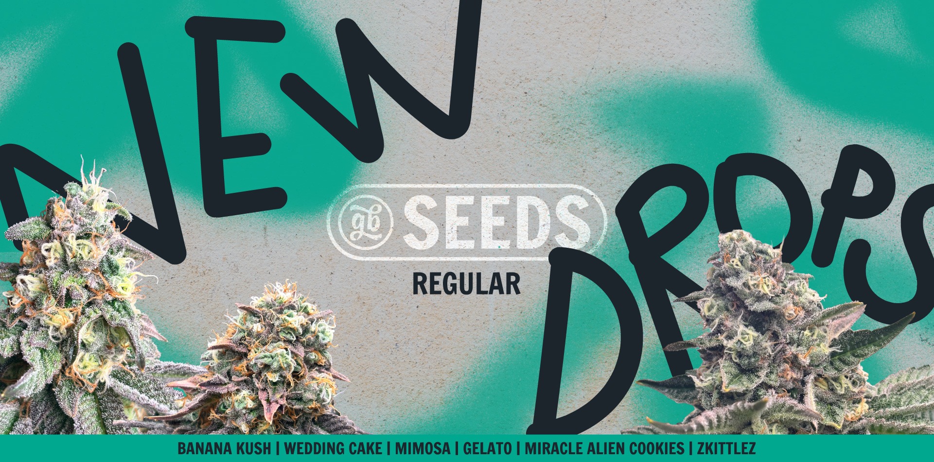 Demo banner 2