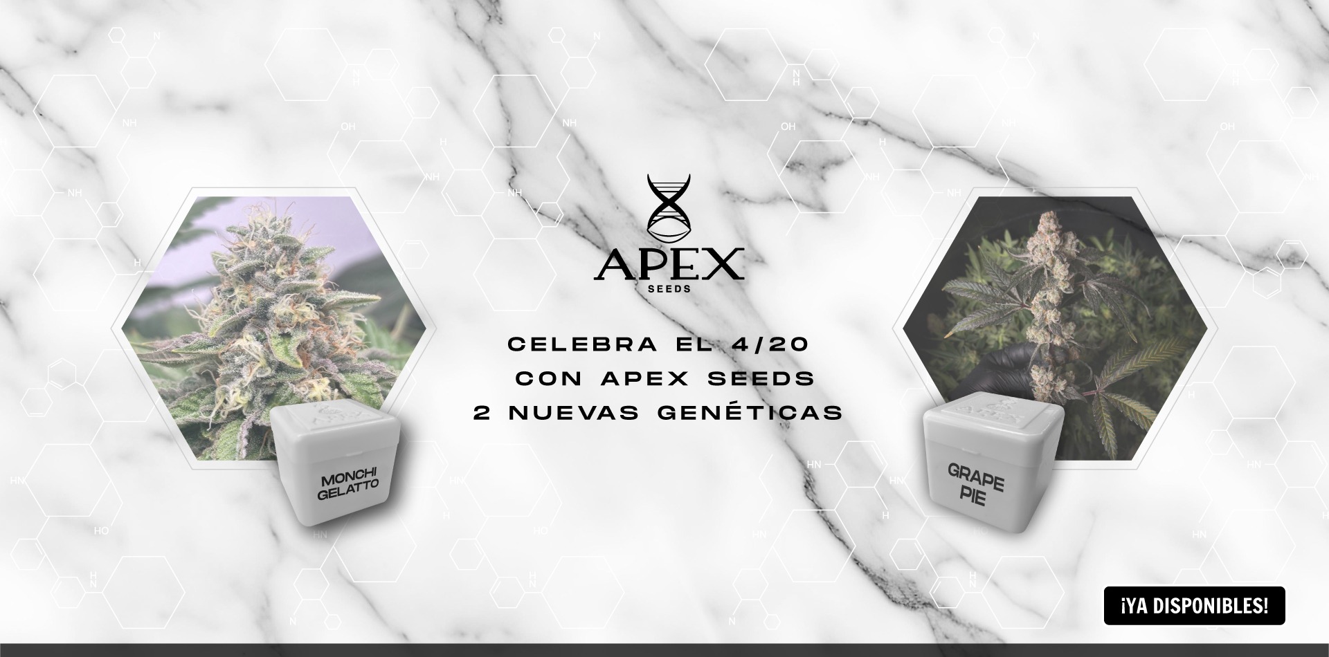 Demo banner 4
